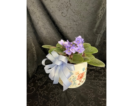 Pretty Blossoms Flower Arrangement