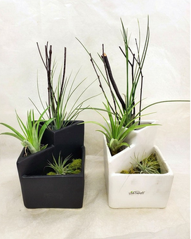 Standard size,  inches height and  inches wide.