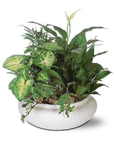 Green Garden Bowl Flower Arrangement