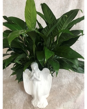 SERENITY SPATH  ANGEL CERAMIC CONTAINER Flower Arrangement
