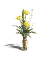 As shown size,  inches height and  inches wide.
