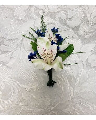 White Alstro & Blue Bout.