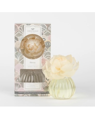 Haven Flower Diffuser Gifts
