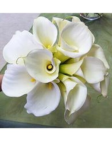 Chic Calla Lily Bouquet