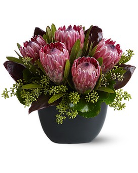 Positively Protea Flower Arrangement