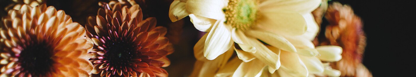 Rekemeier's Banner