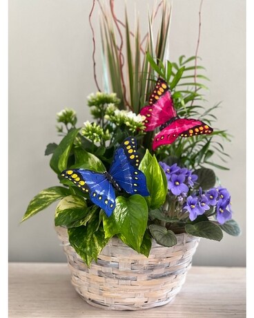 Flutter and Grow Planter Basket Plant