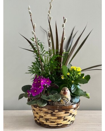 Nesting Basket Planter Plant