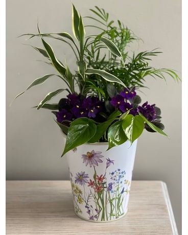Wildflower Planter Plant
