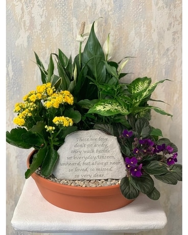 Walk Beside Us Dish Garden Plant