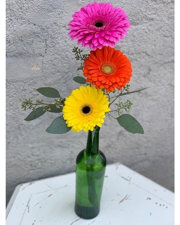 Giddy Gerbera Flower Arrangement