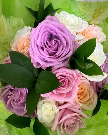 Dozen Mixed Colors Rose Special Flowers