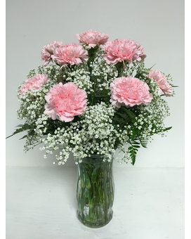 Dozen Pink Carnations & Baby's Breath - All-Around