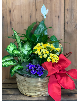 Bright Living Planter Basket