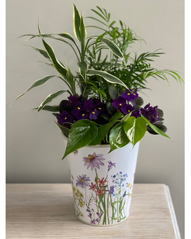 Wildflower Planter Plant