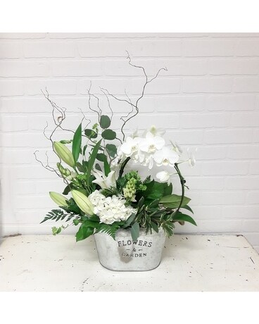 Opulent Orchid and Cut Flower Fusion Plant