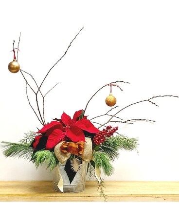 On Point Poinsettia Plant