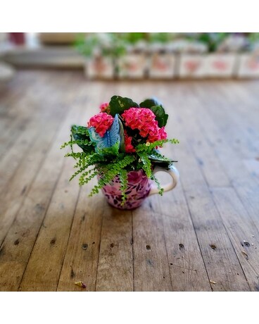 Teacup Garden Potted Plant Plant