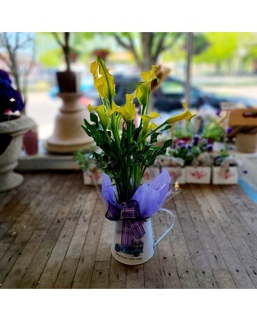 Cool Calla Potted Plant Flower Arrangement
