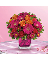  Premium size, 14 3/4 inches height and 14 inches wide.