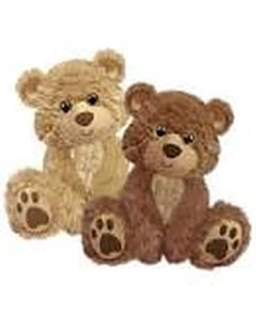 Willoughby Bear Gifts