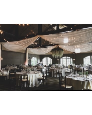 Ceiling draping and bistro lights Specialty Arrangement