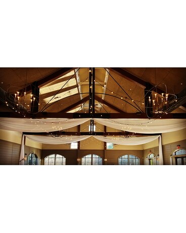 Ceiling Draping 3 Specialty Arrangement