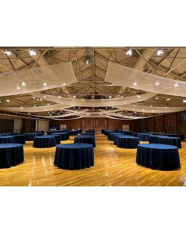Ceiling Draping 6 Specialty Arrangement