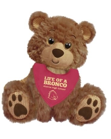 School Spirit Teddy Custom product