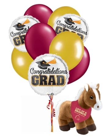 Bronco Pride Bundle Custom product