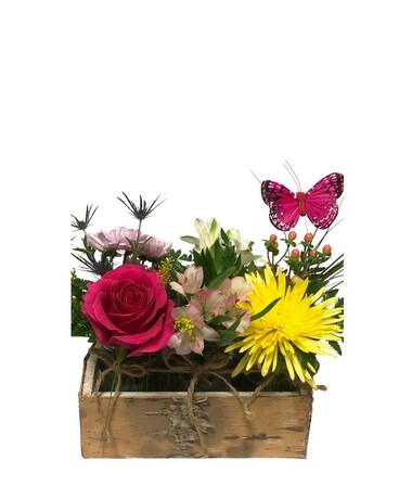 Spring Box Custom product