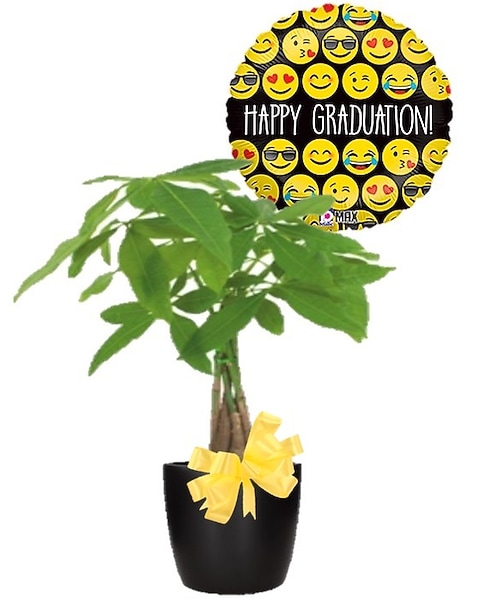 Money Tree w/ Grad Balloon in Hudson NH - Anne's Florals & Gifts
