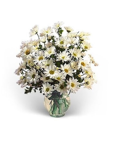 Delightful Daisies Flower Arrangement