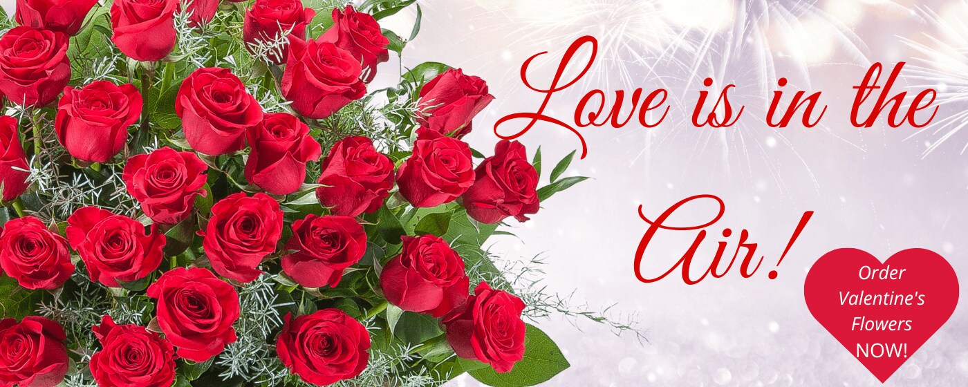 Plymouth Florist Flower Delivery by Vanessa's Flowers