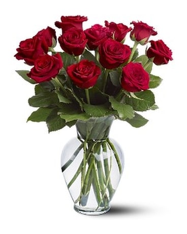 12 Red Roses Premium Long Stemmed Flower Arrangement