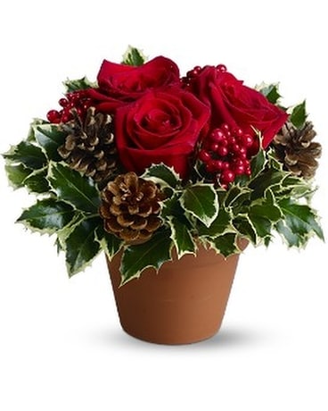 Holly Holiday Flower Arrangement