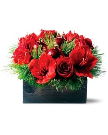 Amazing Amaryllis Flower Arrangement