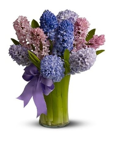 Fragrant Hyacinth Flower Arrangement