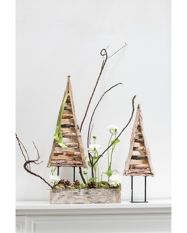 Woodson Trees Gifts