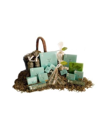 V Lavish Chocolate Basket Gift Basket
