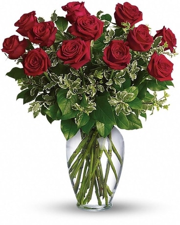 Long Stemmed Red Roses Flower Arrangement