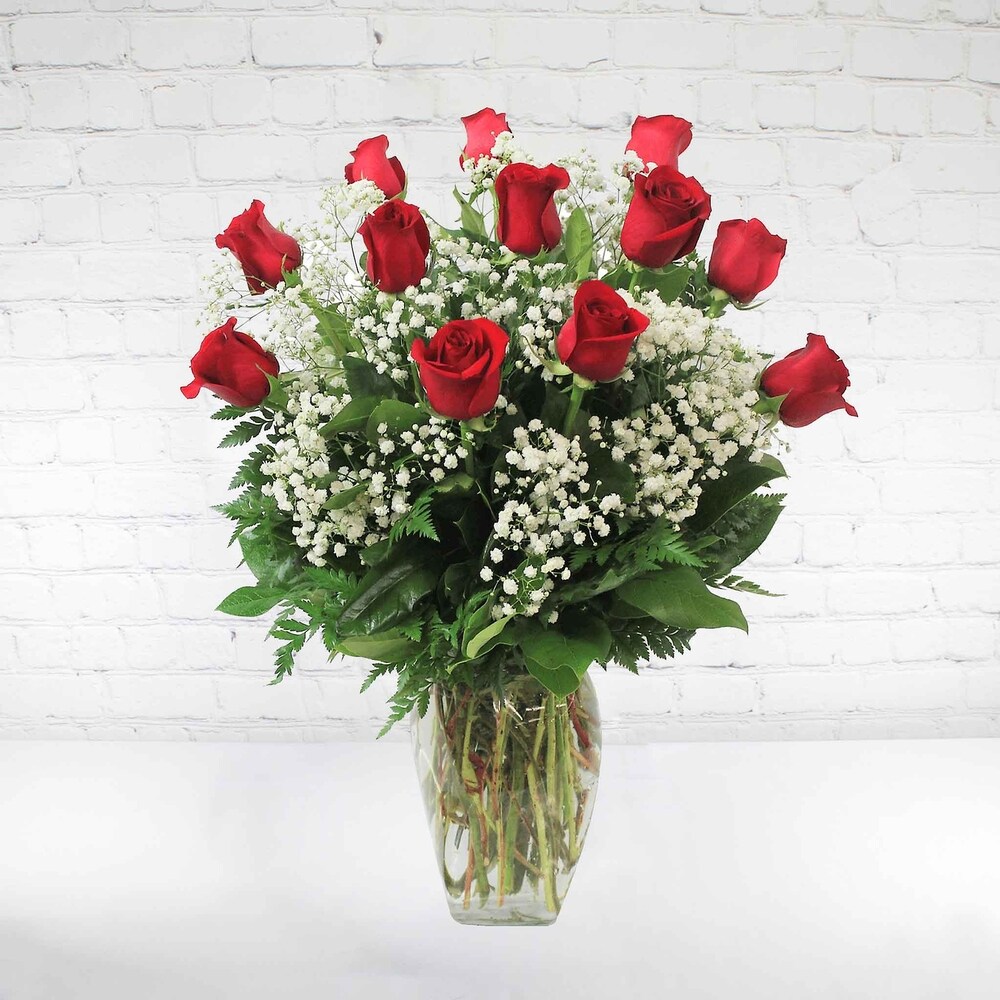 Classic Dozen Roses with Baby Breath in Chicago IL - La