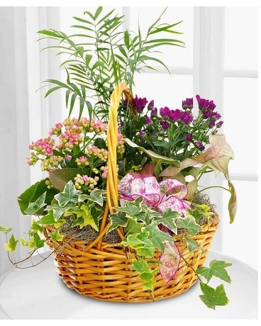 LaSalle's Chicago Florist Blooming Garden Basket Flower Arrangement