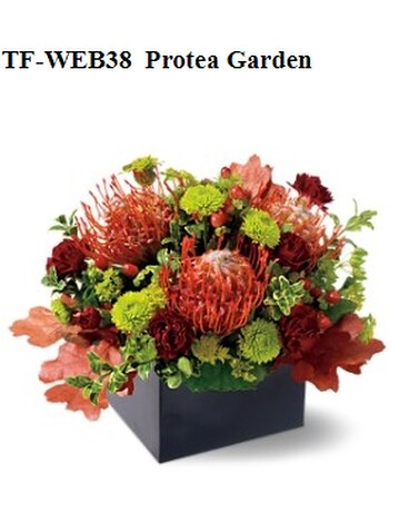 Pincushion Protea Garden Flower Arrangement