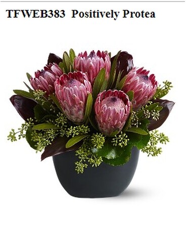 Positively Protea Flower Arrangement