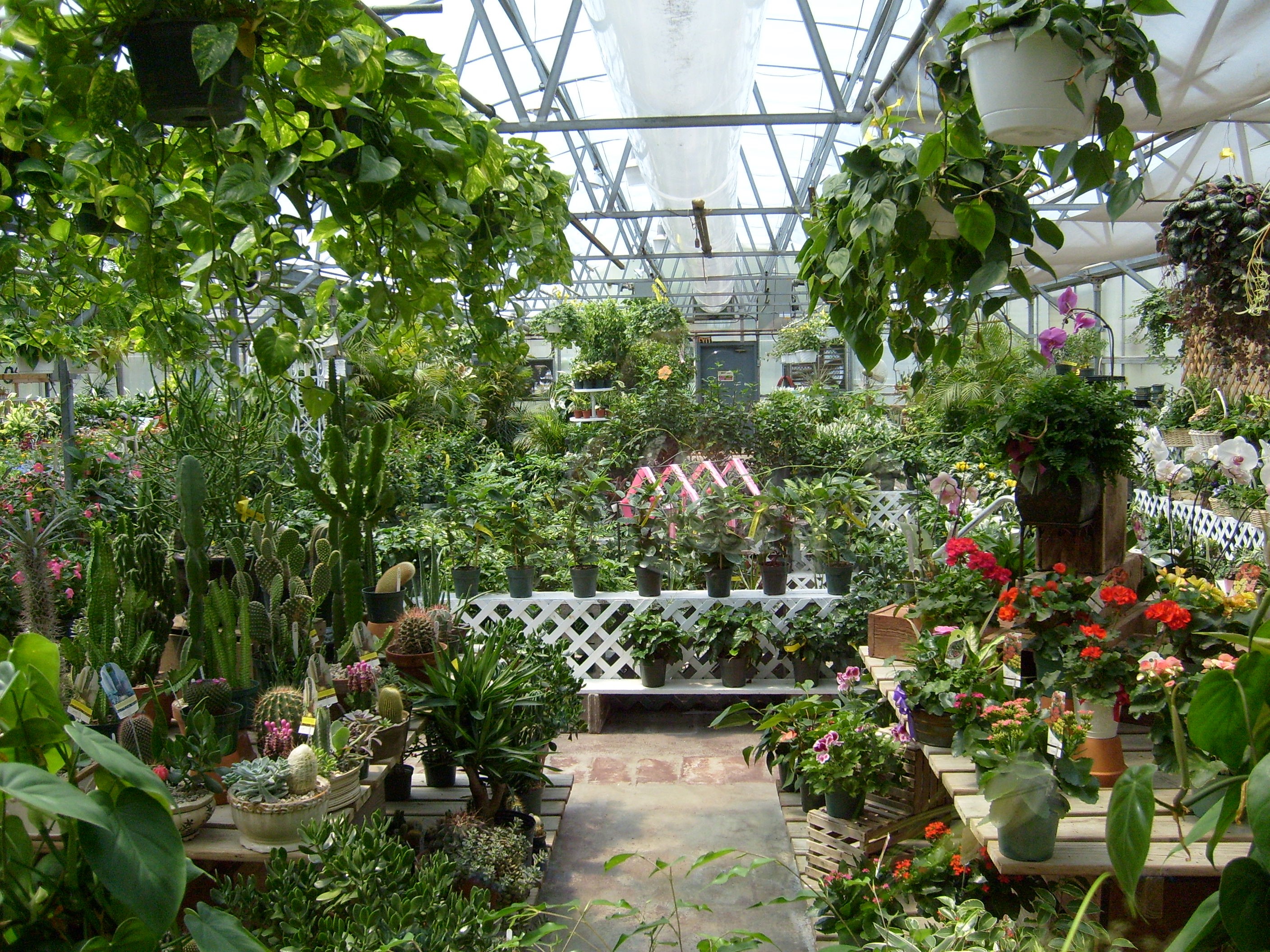 Greenhouse Megastore Greenhouses, Greenhouse Supplies, Garden Supplies