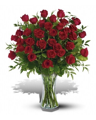 Three Dozen Red Roses