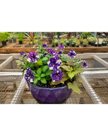 Send Mother's Day Flowers in Utica, NY | Chester's Flower Shop And
