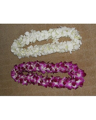 White double dendrobium orchid lei