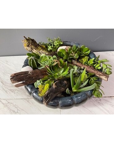 Succulent Bowl Flower Arrangement
